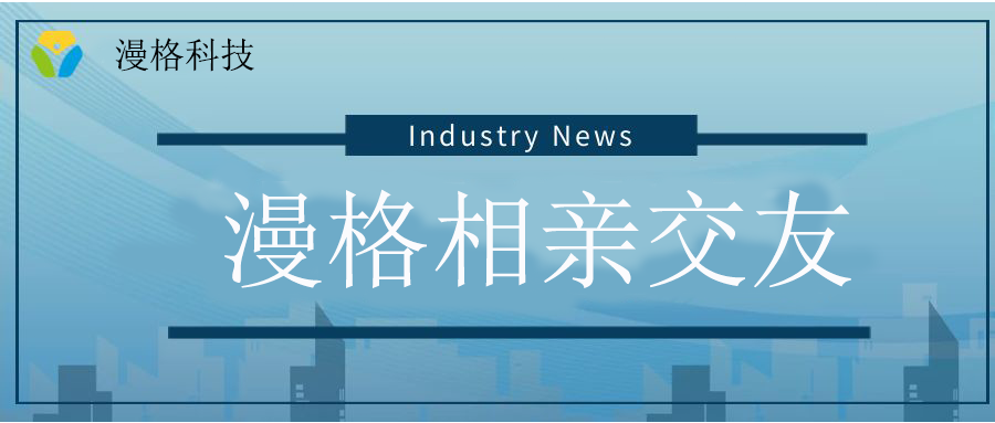 漫格相亲系统：邂逅二次元浪漫良缘